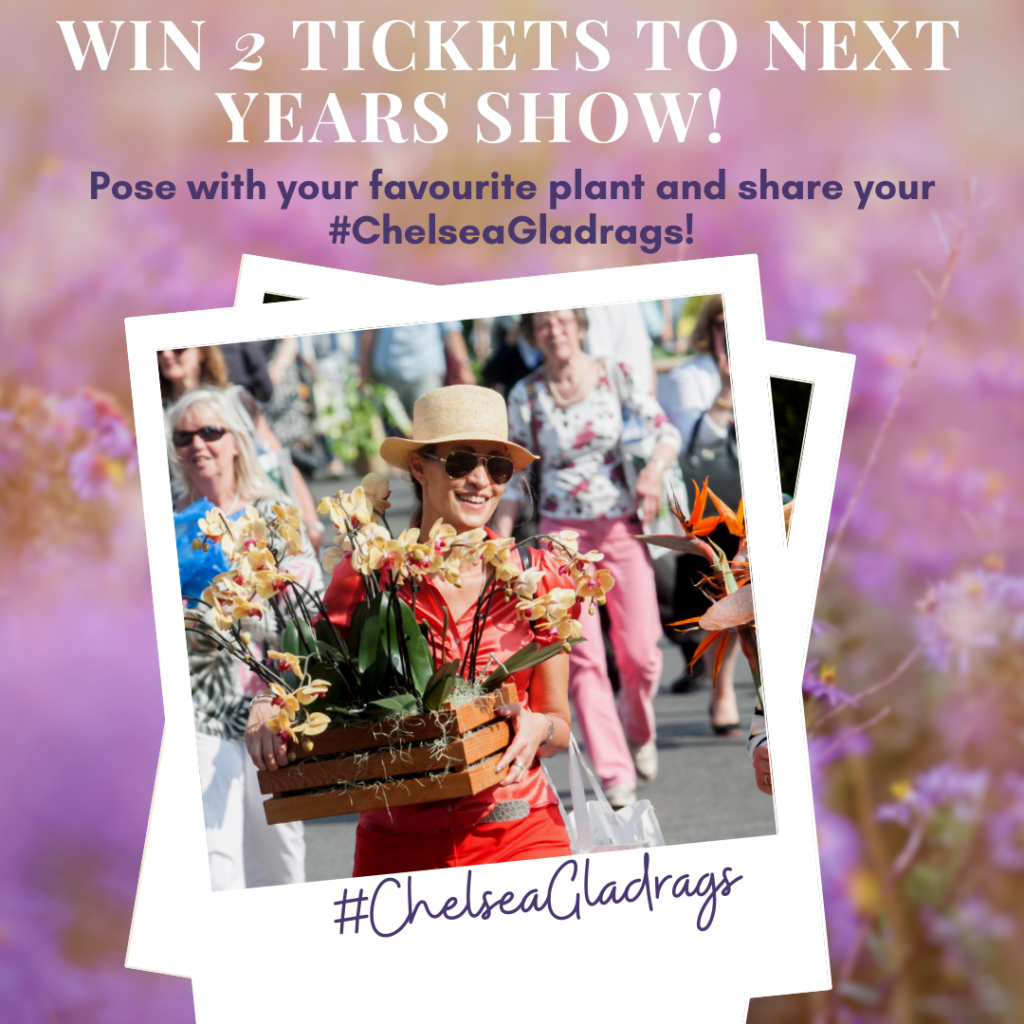 Virtual Chelsea Flower Show competition image, win two tickets to next years show!