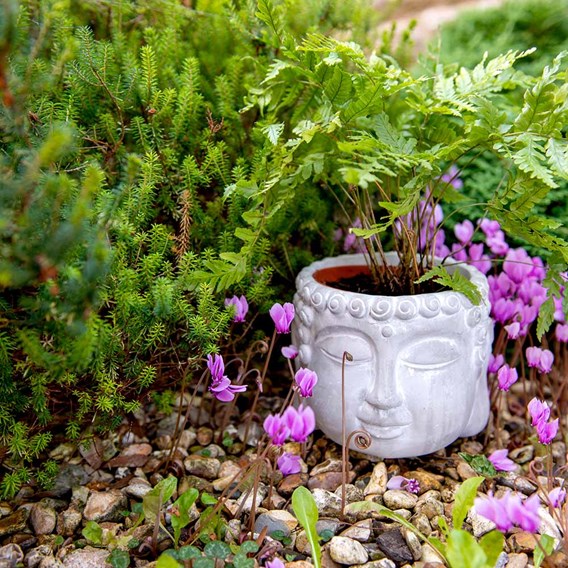 flower pot