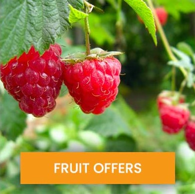 March newsletter fruit offers