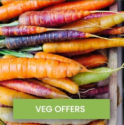 February newsletter veg offers