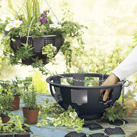 Lockdown Project Guides Winter Hanging Baskets Suttons Gardening