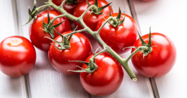 Suttons Introduces the First Blight Resistant Cherry Tomato – Crimson Cherry F1!