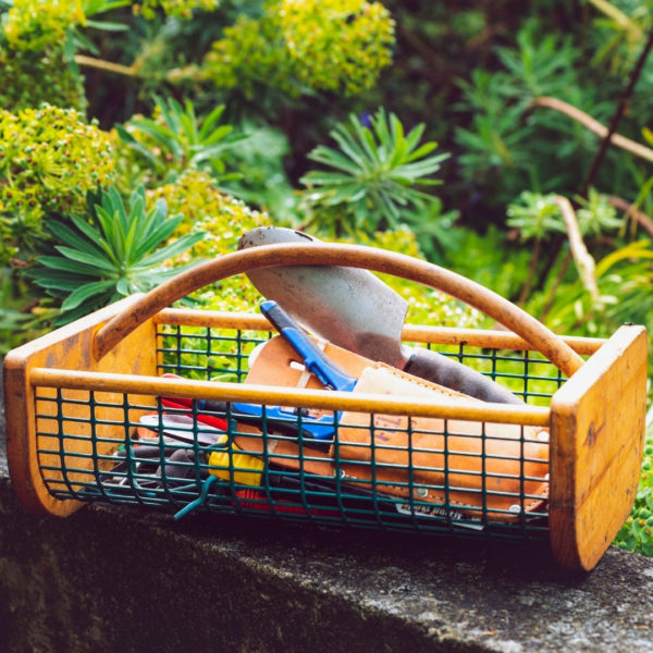 A Guide to Gardening Tools Including New 2021 Range3 Suttons