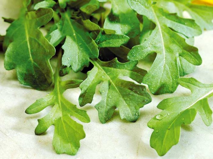 rocketseeds Suttons Gardening Grow How