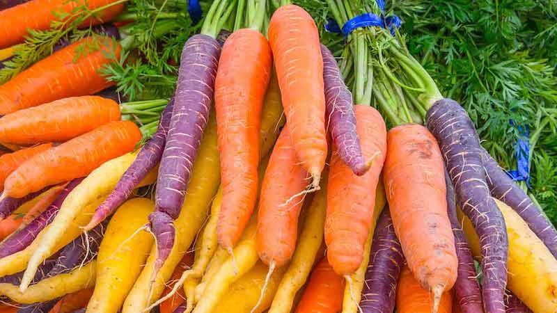 Image: https://hub.suttons.co.uk/wp-content/uploads/2021/05/carrot-seeds.jpeg Carrots Rainbow Mix from Suttons