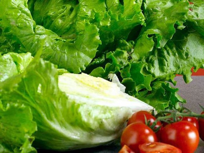 Best expert advice on growing lettuce and salad leaves Suttons