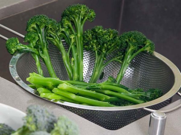 Best expert advice on growing broccoli - Suttons Gardening Grow How