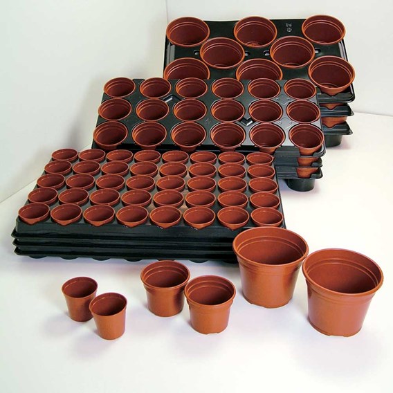 trays pots to grow seedlings