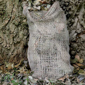 Leaf Sacks from Suttons