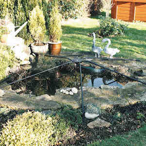 Universal pond cover from Suttons