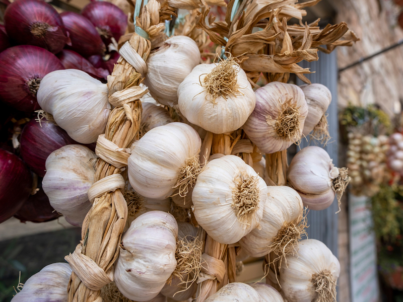 dried onion and garlic hanging outside