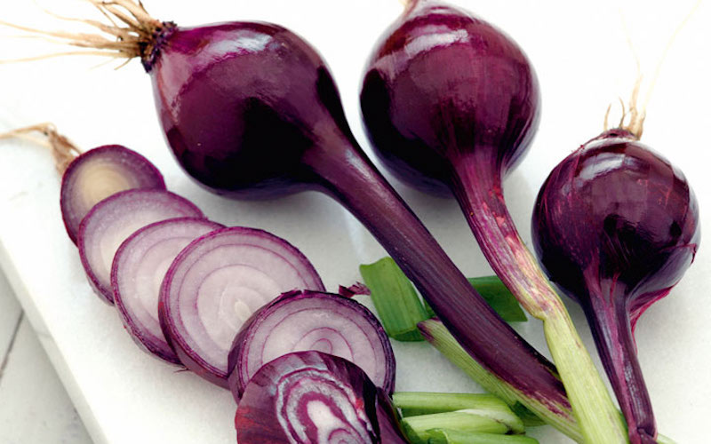 Onion seeds ‘Purplette’ from Suttons