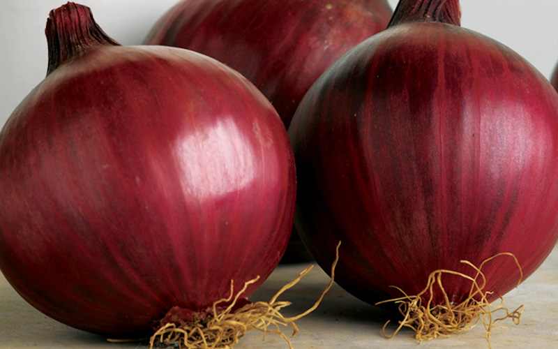 Onion sets ‘Red Arrow’ from Suttons