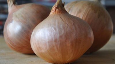 How to stop onions from bolting