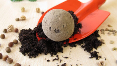 How to make flower seed bombs