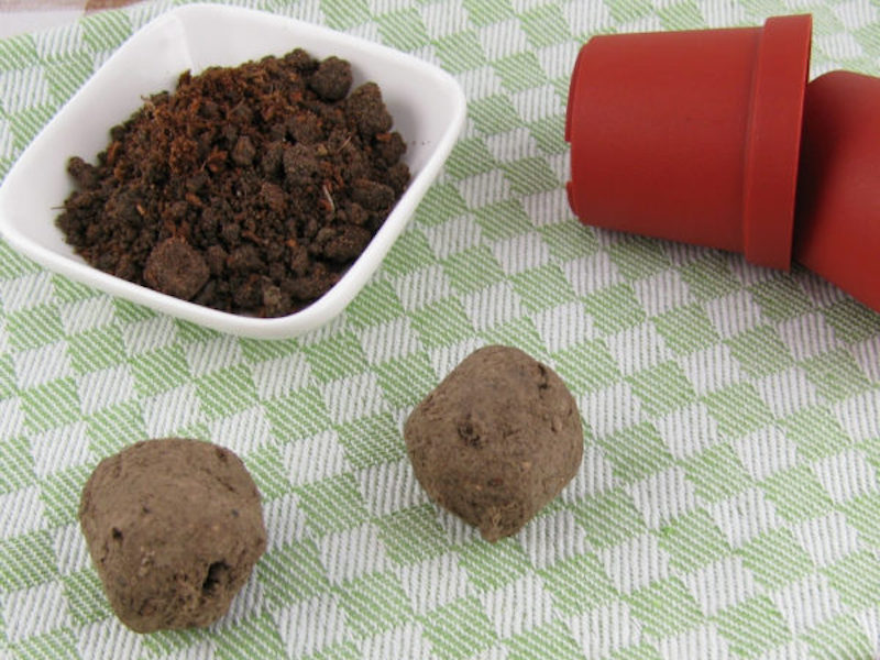 Closeup of seed bombs on table