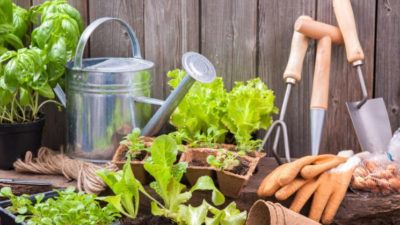 How gardening makes you happy