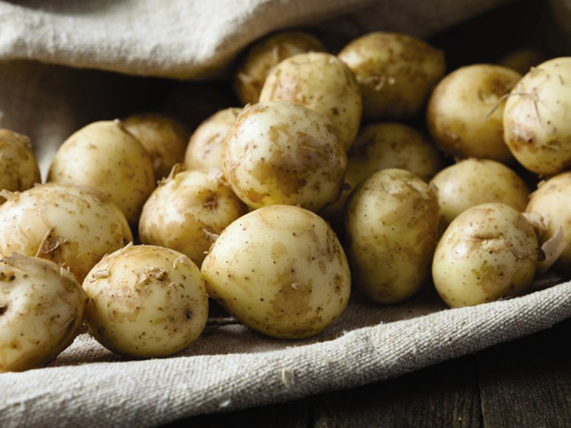 Potato ‘Lady Christl’ from Suttons