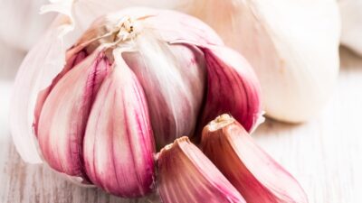 Best expert advice on growing garlic