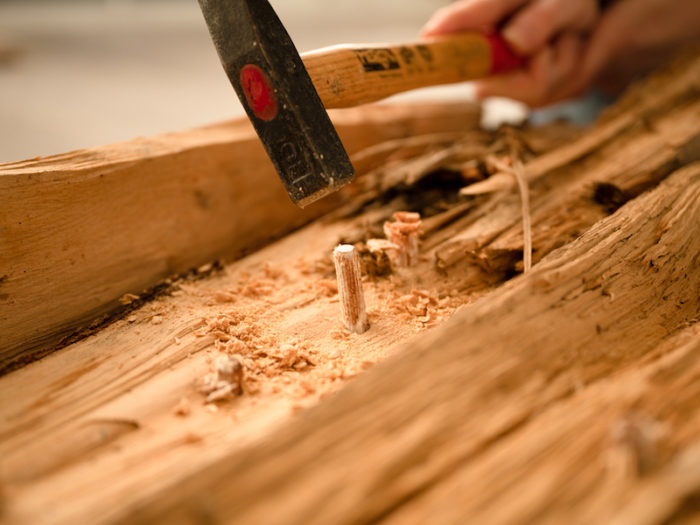 How to grow mushrooms from spawn plugs Suttons Gardening Grow How