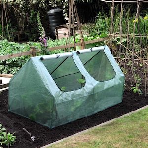 Garden Grow Cloche from Suttons - In your garden in May