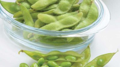 How to grow Edamame beans