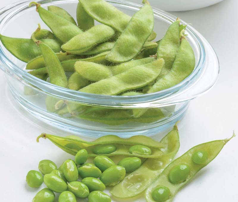 Bean Soya Seeds - Edamame from Suttons