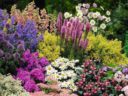 How to create the perfect cottage garden