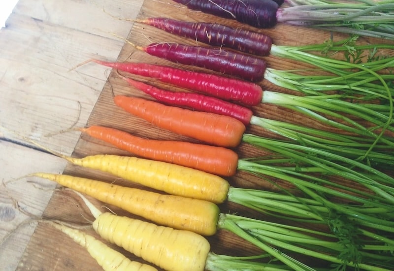Rainbow coloured carrots on table