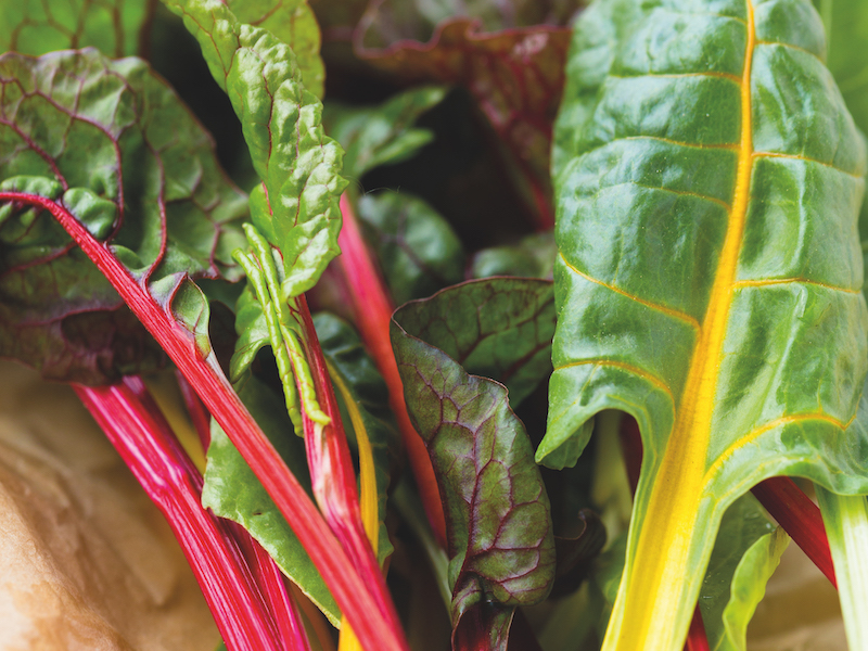 Beet (Leaf) Seeds ‘Bright Lights’ from Suttons