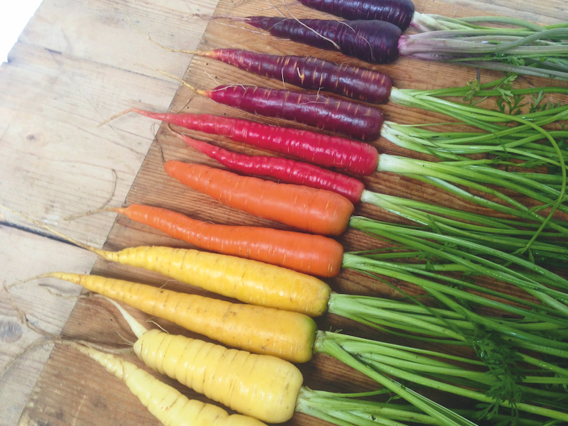 Carrot (Organic) Seeds ‘Rainbow Mix’ from Suttons