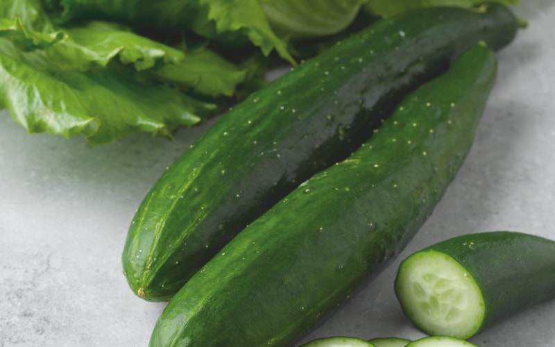 Closeup of outdoor Cucumber variety 'F1 Burpless Tasty Green'