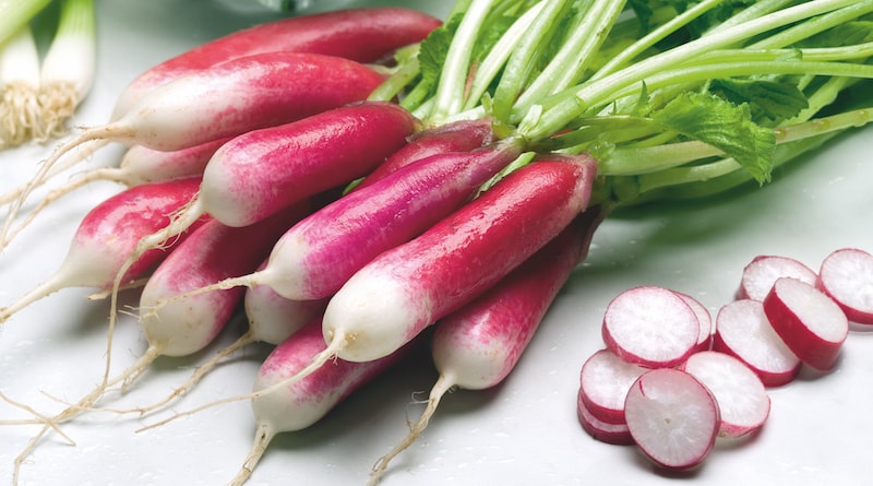 Red and white radish 'French Breakfast 3' from Suttons