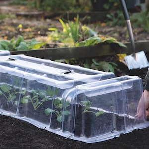 Mini Greenhouse Cloche from Suttons