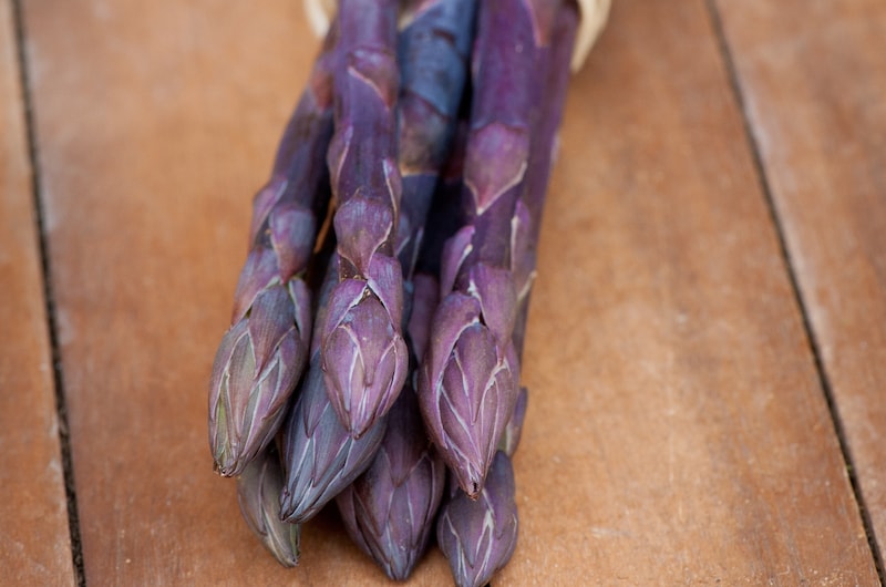 Purple harvested asparagus officinalis ‘Pacific Purple’ spears from Suttons