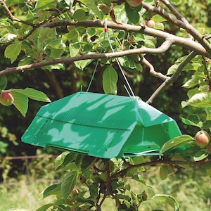 Codling Moth and Plum Moth Traps from Suttons