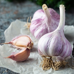 Garlic Plants - Caulk Wight from Suttons