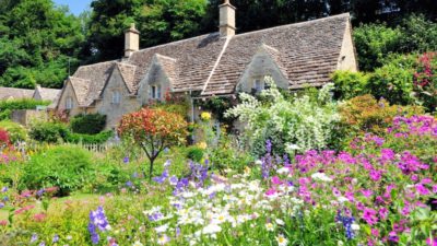 Best expert advice on cottage gardens