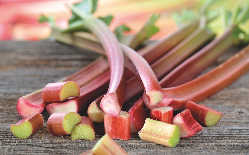 Closeup of harvested Rhubarb ‘Sanvitos Early’ from Suttons