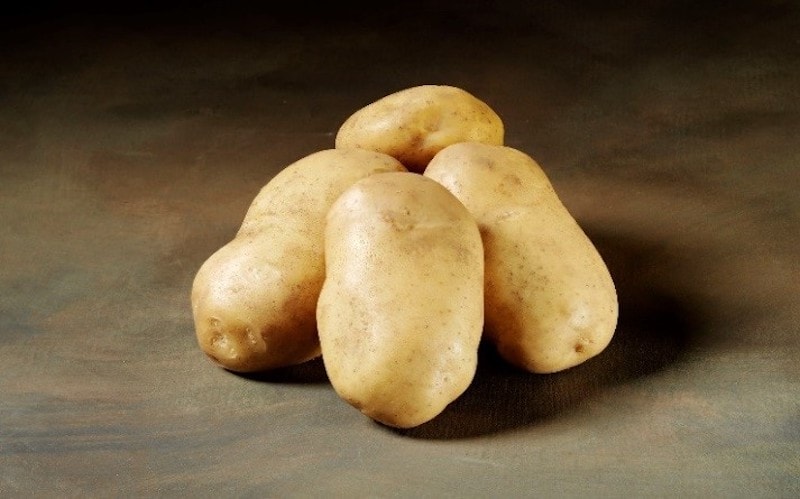 Seed potatoes ‘McCain Royal’ (maincrop) from Suttons