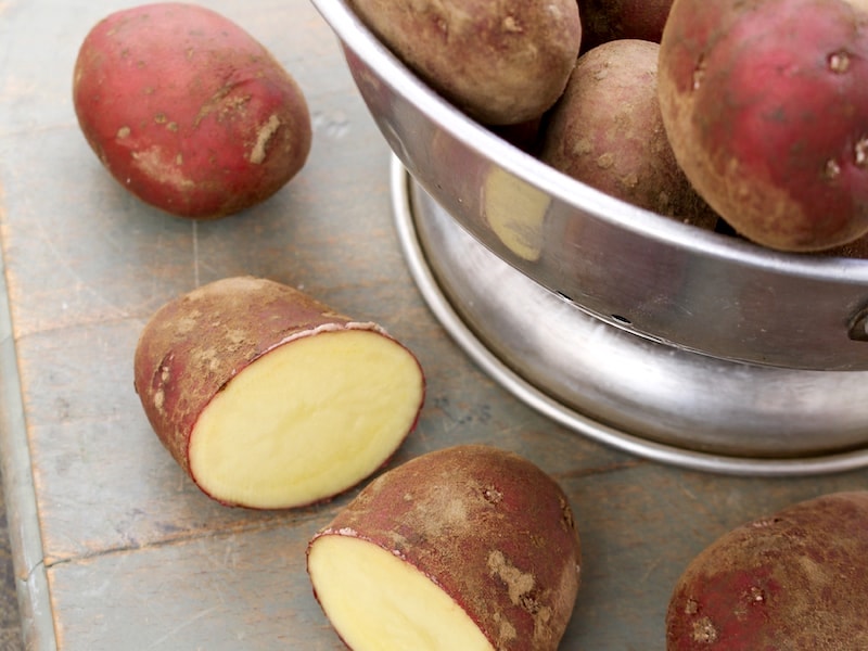 Seed potatoes ‘Red Duke of York’ (first early) from Suttons