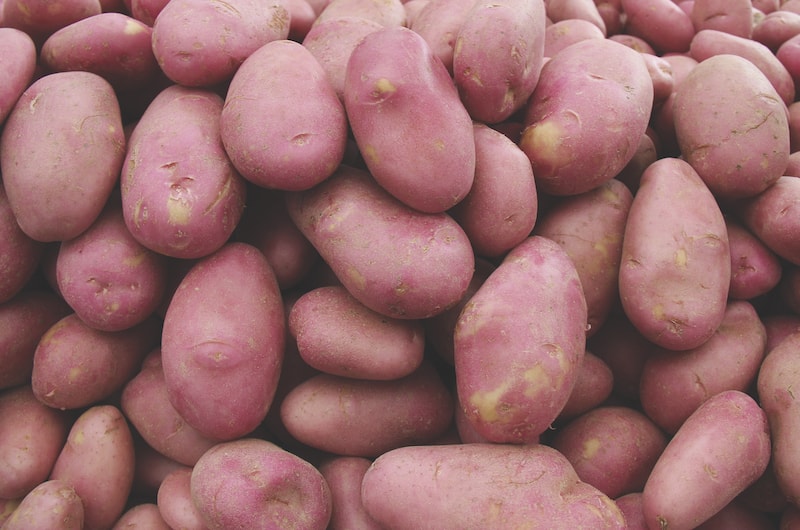 Red skinned potato 'Desiree' from Suttons