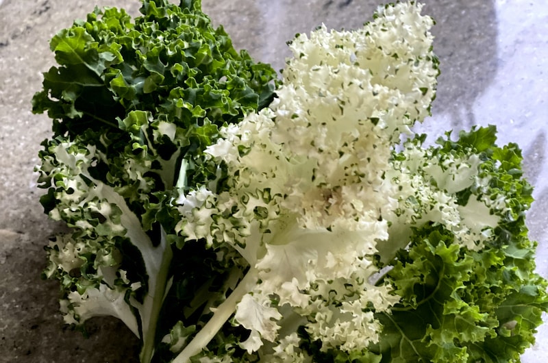 White and green Kale 'Frost Byte F1' on a table from Suttons