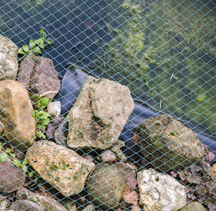 Pond cover netting