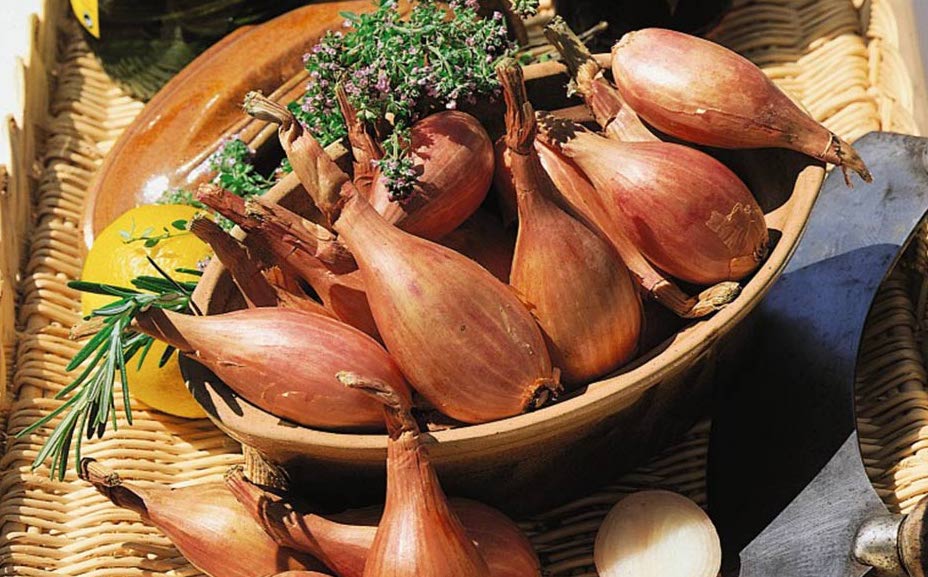 Bowl of shallot next to lemon 