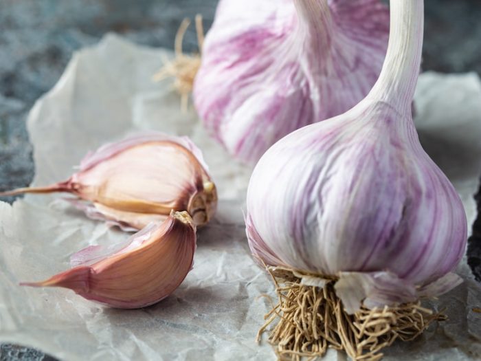 Best expert advice on growing garlic Suttons Gardening Grow How