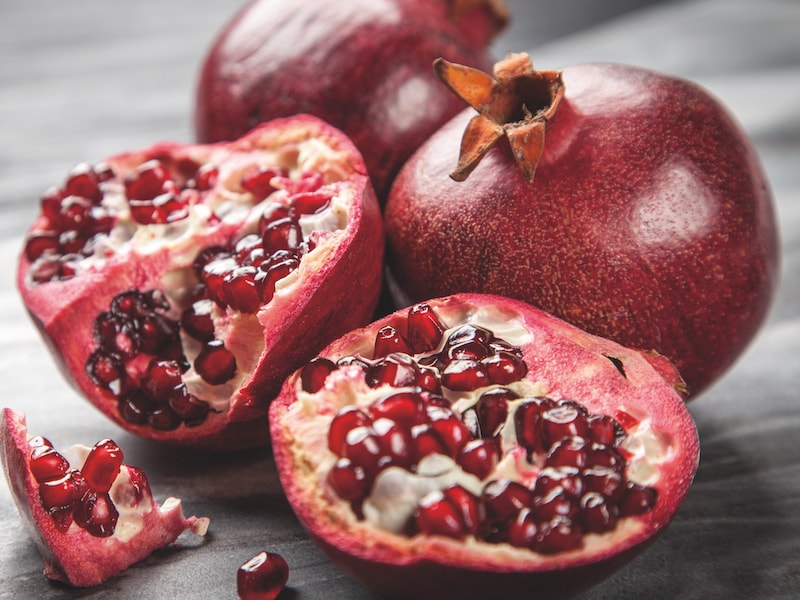 Pomegranate (Punica granatum) Provence from Suttons