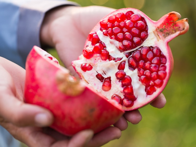 Hand showing ripe pomegranate full of seeds