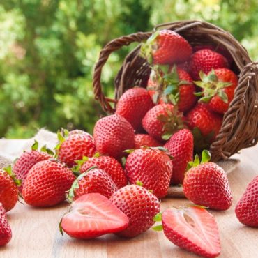 Best expert advice on growing strawberries