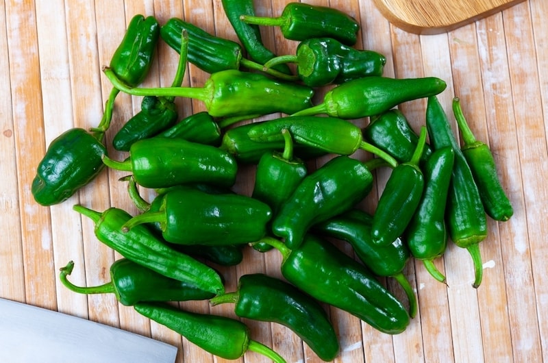 Green raw 'Padron' chilli peppers from Suttons